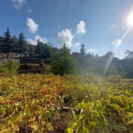 Agros Green Valley Suites Limassol Zewnętrze zdjęcie