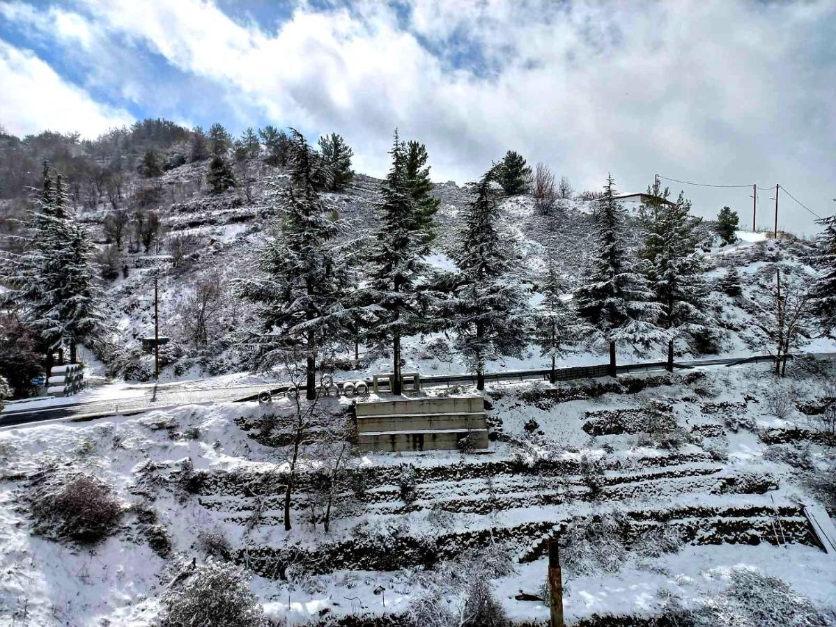 Agros Green Valley Suites Limassol Zewnętrze zdjęcie