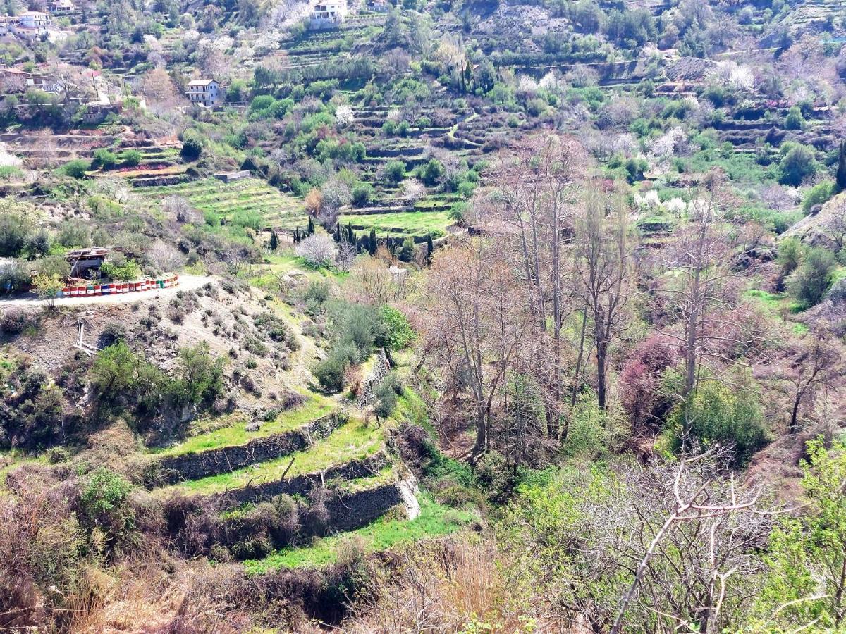 Agros Green Valley Suites Limassol Zewnętrze zdjęcie