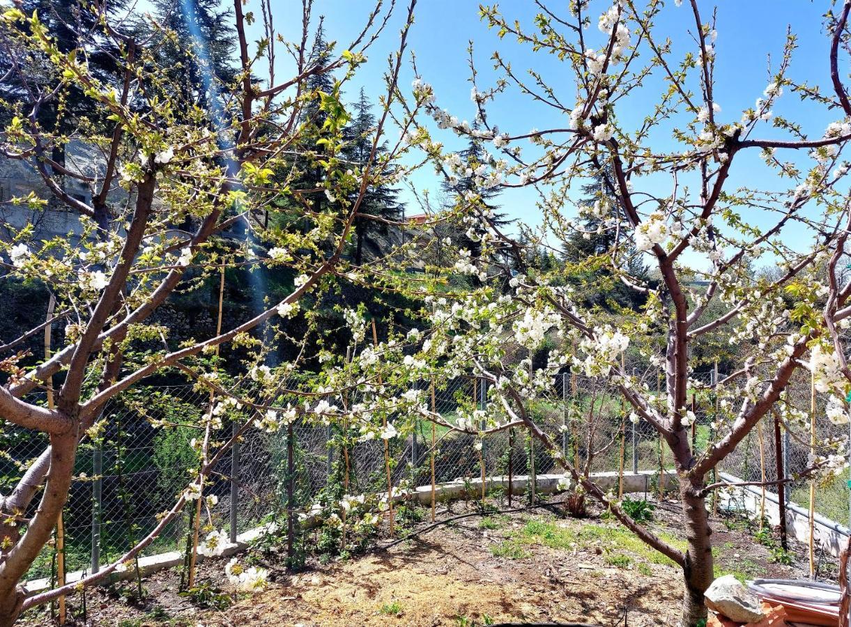 Agros Green Valley Suites Limassol Zewnętrze zdjęcie