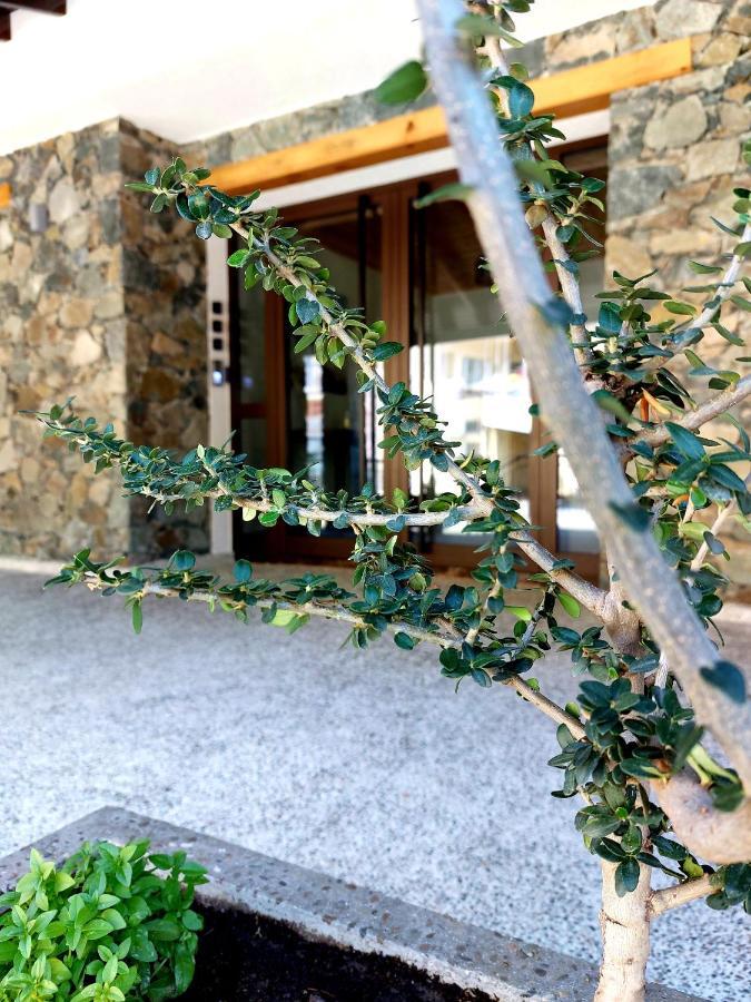 Agros Green Valley Suites Limassol Zewnętrze zdjęcie