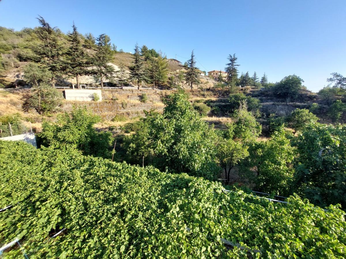 Agros Green Valley Suites Limassol Zewnętrze zdjęcie