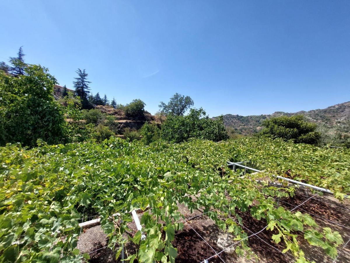 Agros Green Valley Suites Limassol Zewnętrze zdjęcie