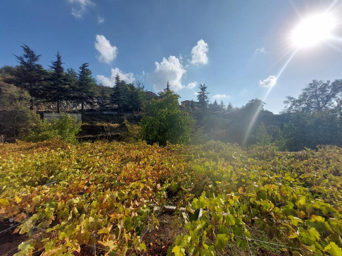Agros Green Valley Suites Limassol Zewnętrze zdjęcie